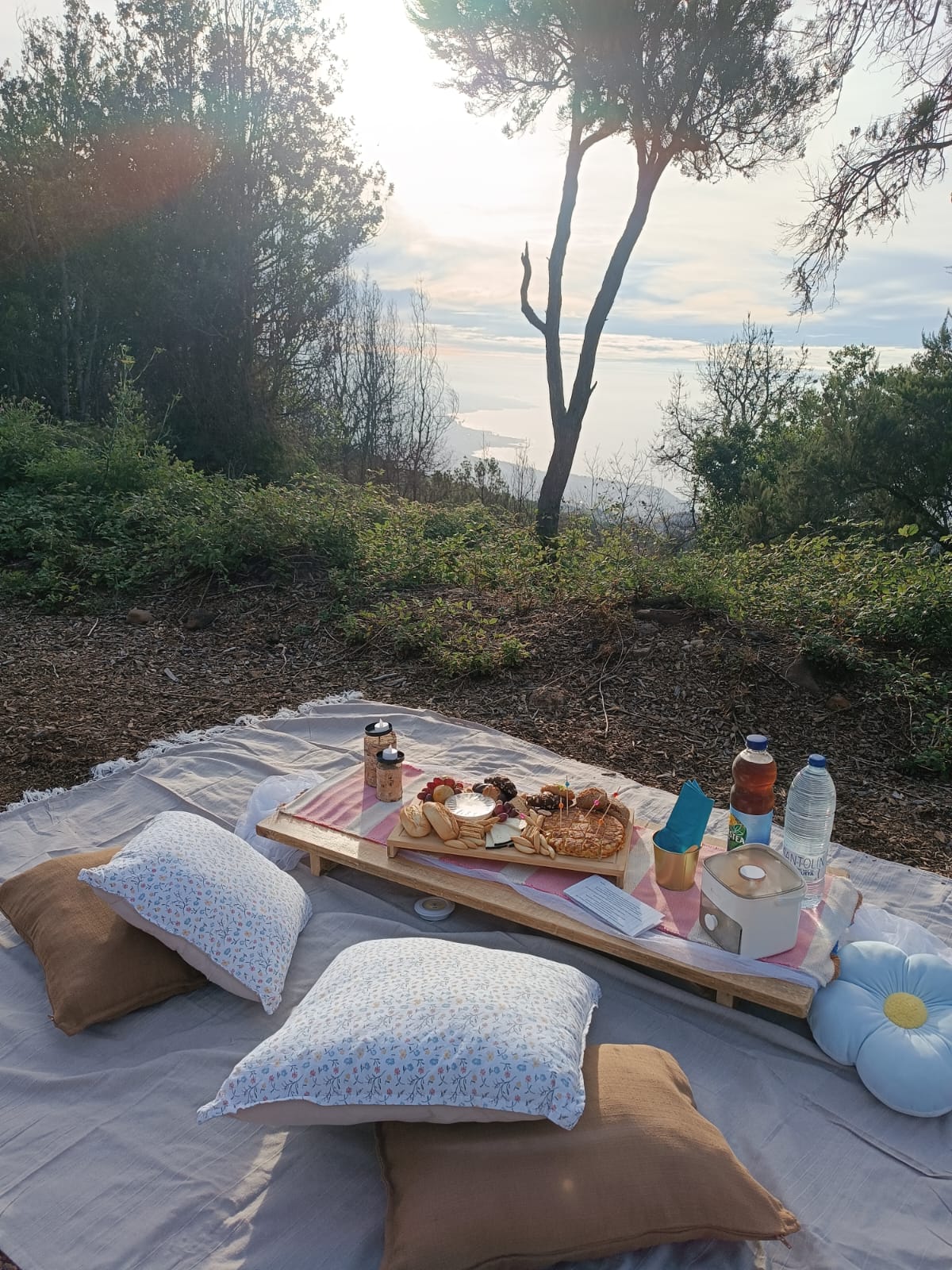 Picnic en la montaña
